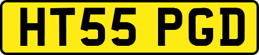 HT55PGD