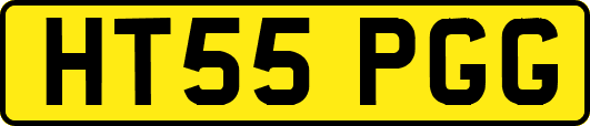 HT55PGG