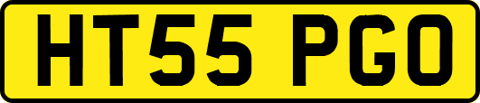 HT55PGO