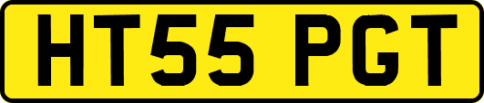 HT55PGT