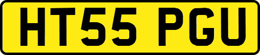 HT55PGU