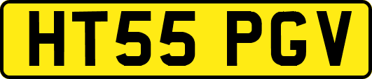HT55PGV