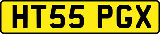 HT55PGX