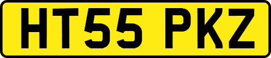 HT55PKZ