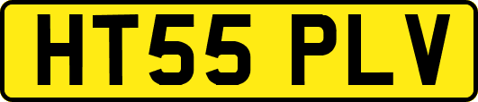 HT55PLV