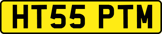 HT55PTM