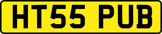 HT55PUB
