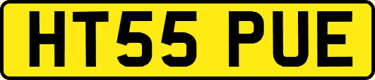 HT55PUE