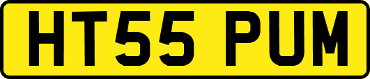 HT55PUM