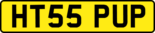 HT55PUP
