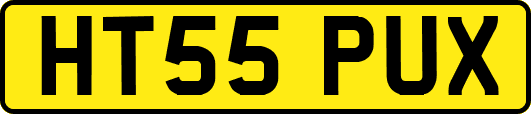 HT55PUX