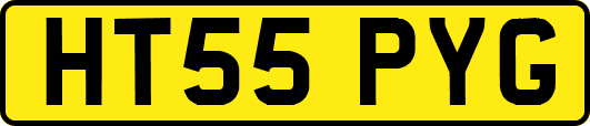HT55PYG