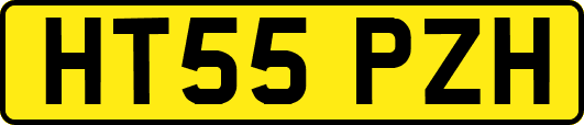 HT55PZH
