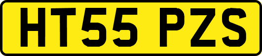 HT55PZS