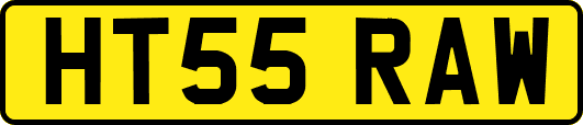 HT55RAW