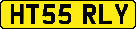 HT55RLY