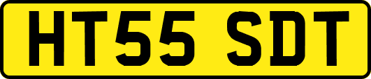 HT55SDT