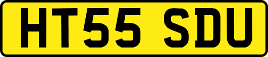 HT55SDU