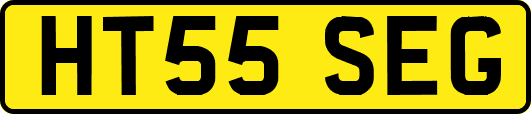 HT55SEG