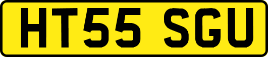 HT55SGU