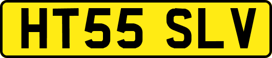 HT55SLV