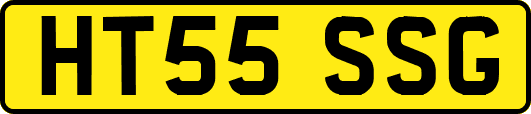 HT55SSG