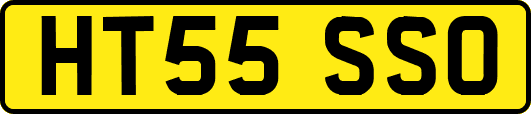 HT55SSO