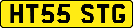 HT55STG