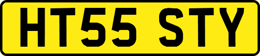 HT55STY