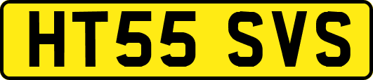 HT55SVS