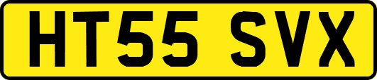HT55SVX