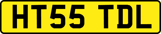 HT55TDL