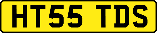 HT55TDS