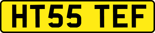 HT55TEF