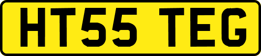 HT55TEG