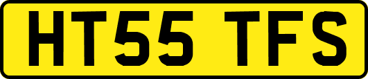 HT55TFS