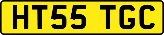 HT55TGC