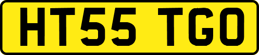 HT55TGO
