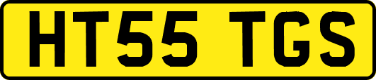 HT55TGS