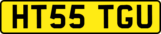 HT55TGU