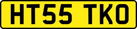 HT55TKO