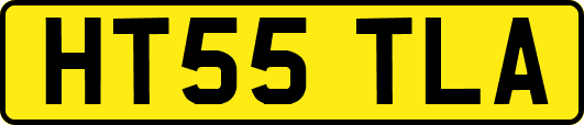 HT55TLA