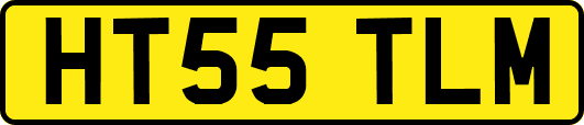 HT55TLM