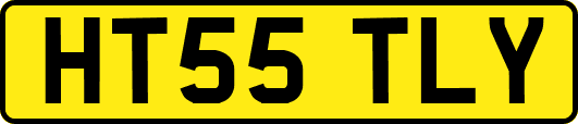 HT55TLY
