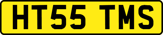 HT55TMS