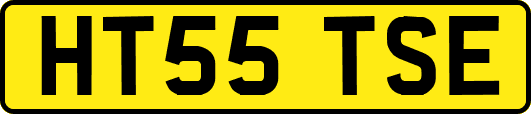 HT55TSE