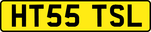 HT55TSL
