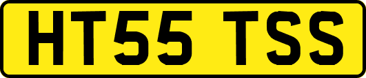 HT55TSS