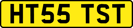 HT55TST