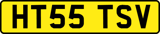 HT55TSV